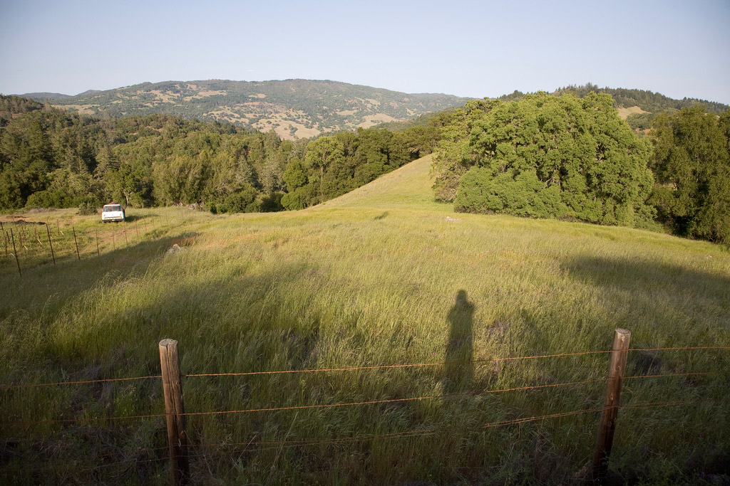 California, USA