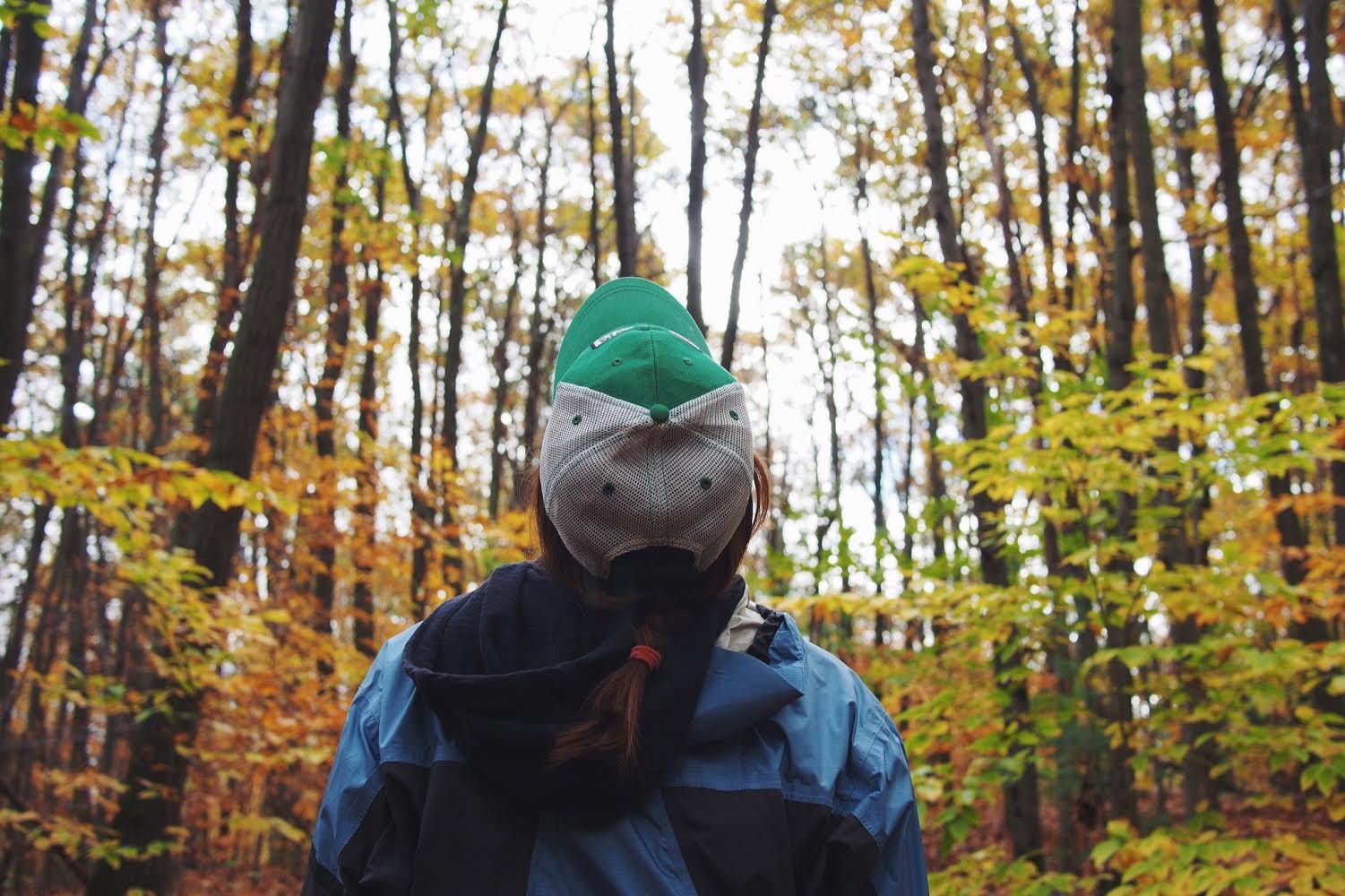 Hiking in forest at fall, Williamstown, Massachusetts